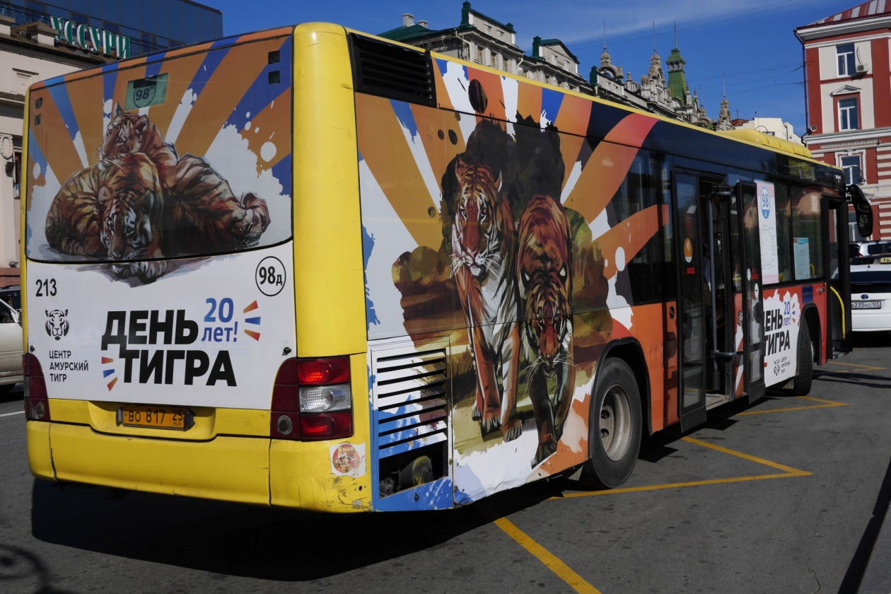 Первый автобус с "тигринным окрасом" Центр "Амурский тигр".