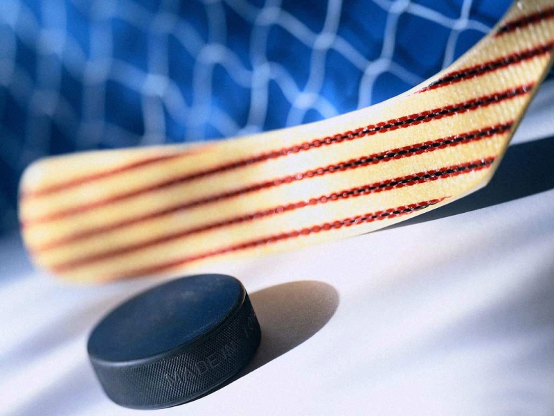 хоккей с шайбой www.khl.ru