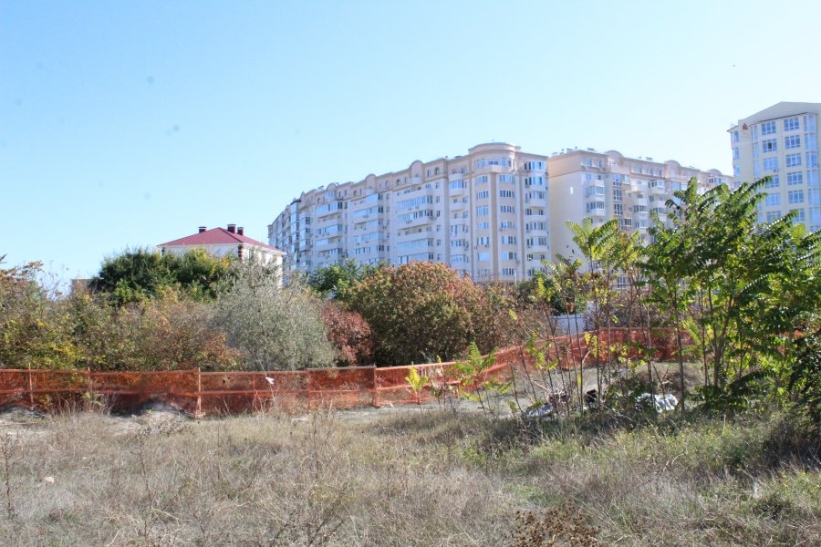 Фисташковые деревья посчитали и обнесли дополнительным забором в Севастополе Сайт правительства Севастополя