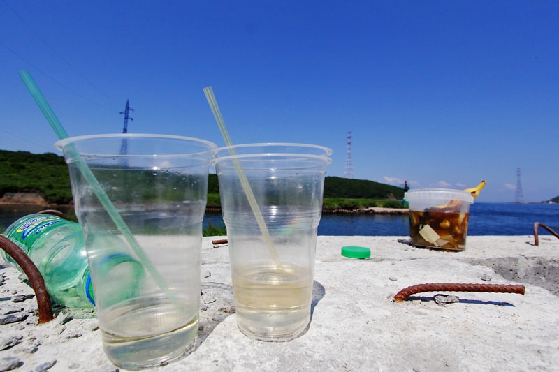Начнут с пластика в июле: Кубань переходит на систему раздельного сбора мусора Антон Балашов, ИА PrimaMedia