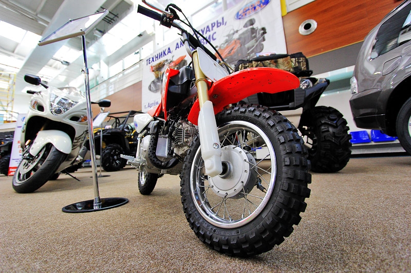 Количество участников растет с каждым годом