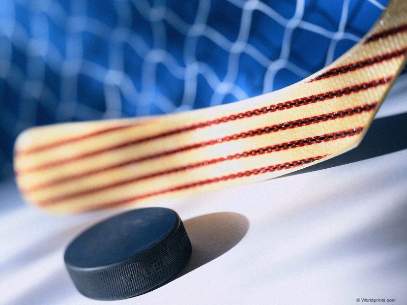 хоккей www.khl.ru