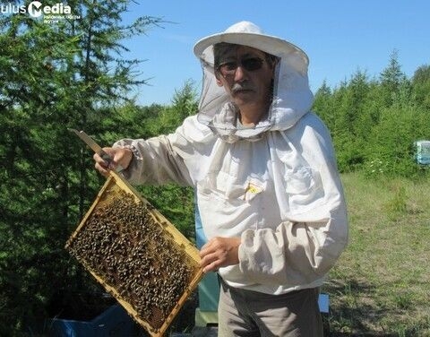 Ты-пчела, я-пчеловод...Якутянин создал на Дальневосточном гектаре медовое царство Улус Медиа