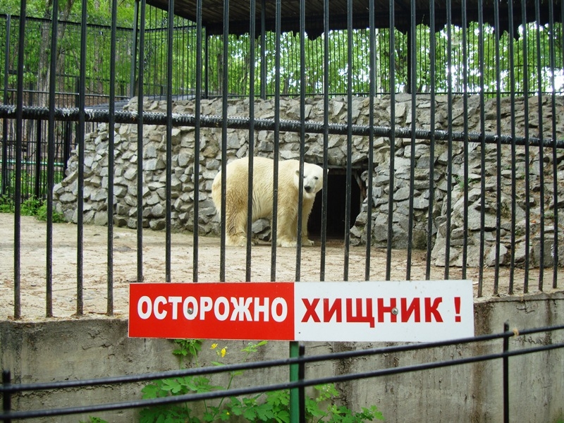 Повсюду стоят предупреждающие таблички