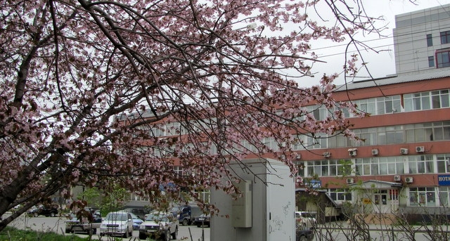 Снова улица Амурская