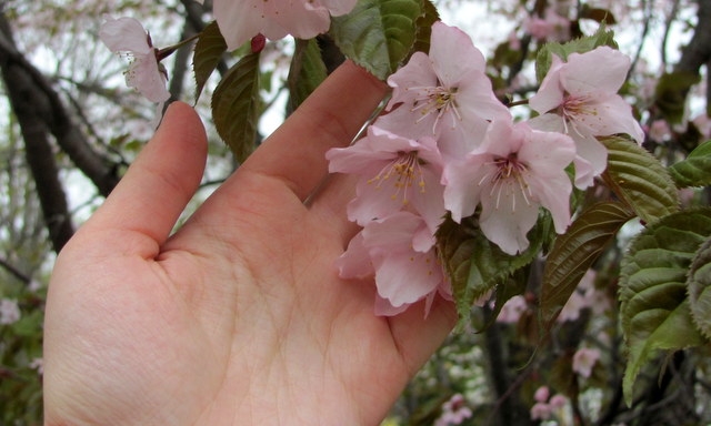 Комбинезондағы әйелдер