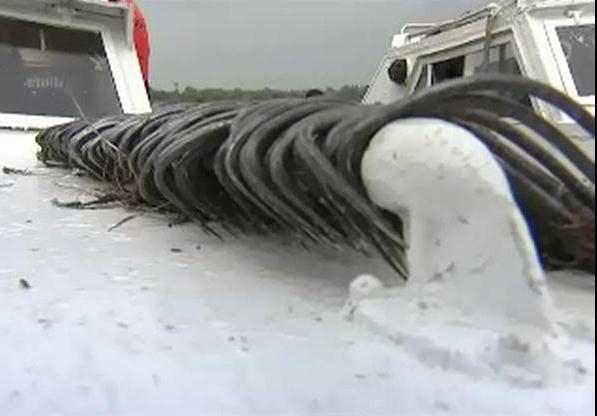 Охота на китайских браконьеров идет на реке Амур в ЕАО