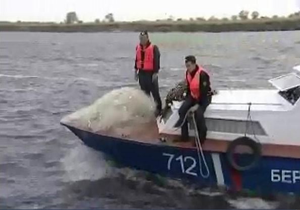 Охота на китайских браконьеров идет на реке Амур в ЕАО