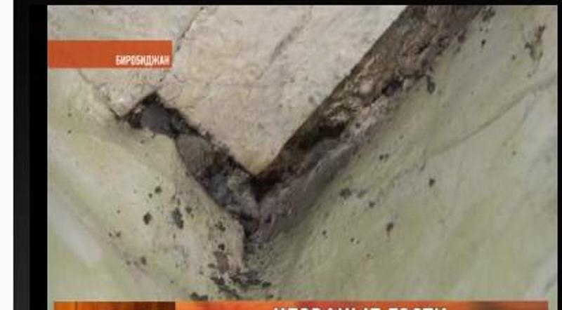 Нашествие трупных червей переживают жители двухэтажного дома в Биробиджане