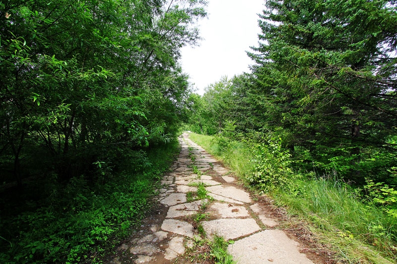 Территория воинской части заросла травой
