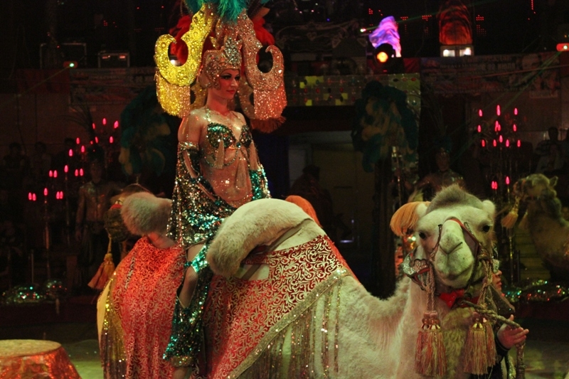 В программе участвует более 300 животных 39 видов