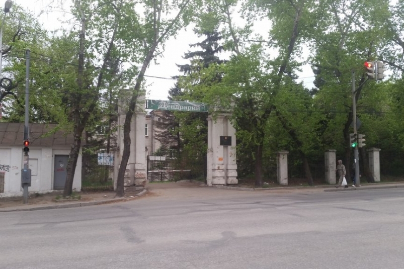 Дендрарий Пресс-служба администрации Хабаровска