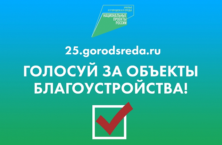 Почти 13 тысяч жителей Владивостока проголосовали за объекты благоустройства пресс-служба администрации Владивостока