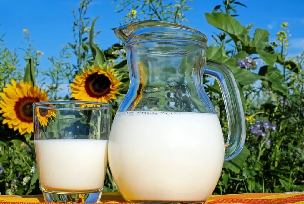 Смешайте молоко с йодом и кусты прогнутся от тяжести плодов - MagadanMedia