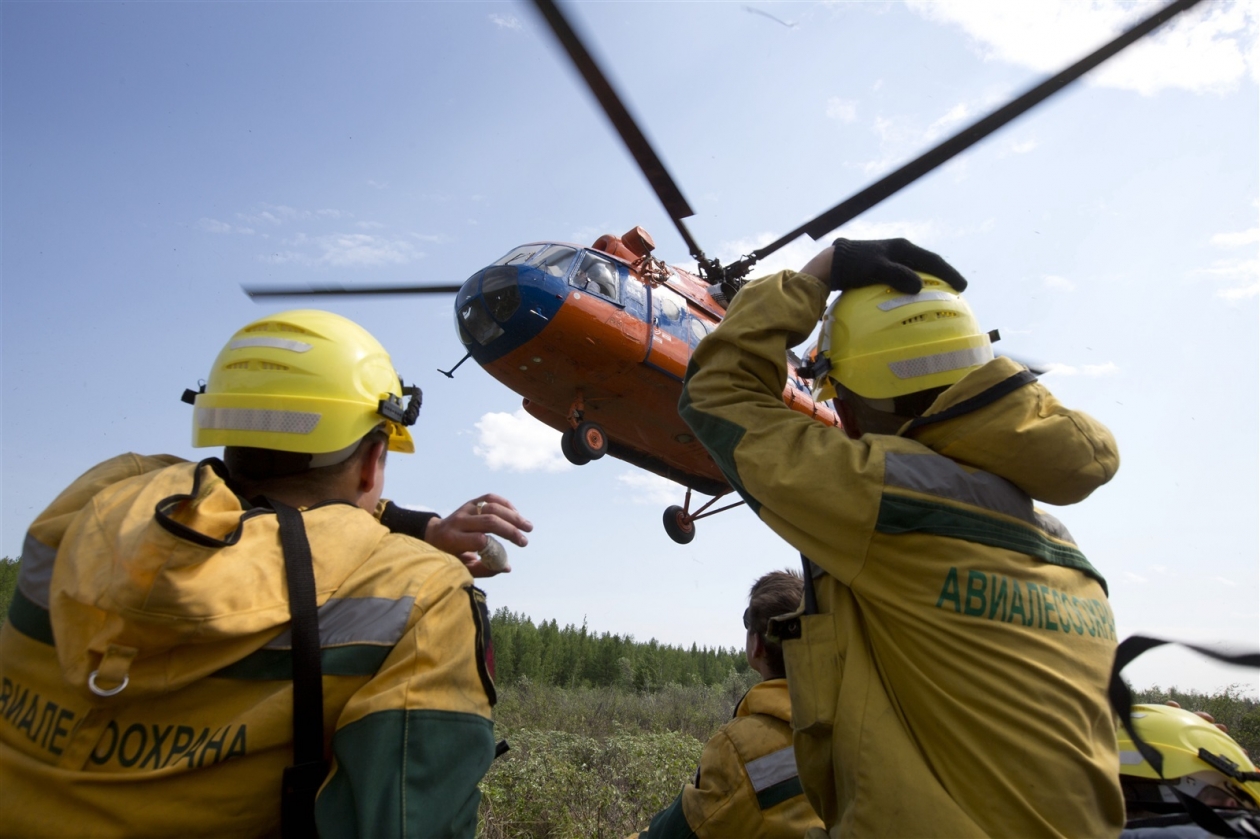 Пожарные Министерство лесного хозяйства Красноярского края