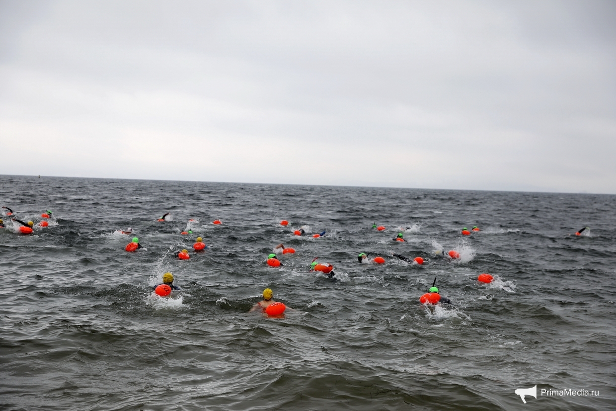 26 июня во Владивостоке прошëл девятый марафонский заплыв "Амурский залив" ИА PrimaMedia