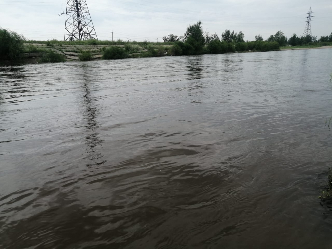 Река Чита Надежда Лозовская, ИА ChitaMedia