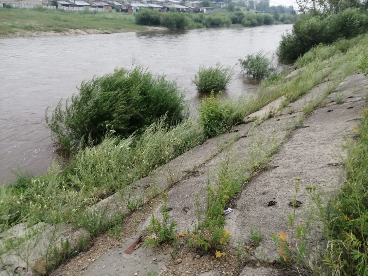 Река Чита Надежда Лозовская, ИА ChitaMedia