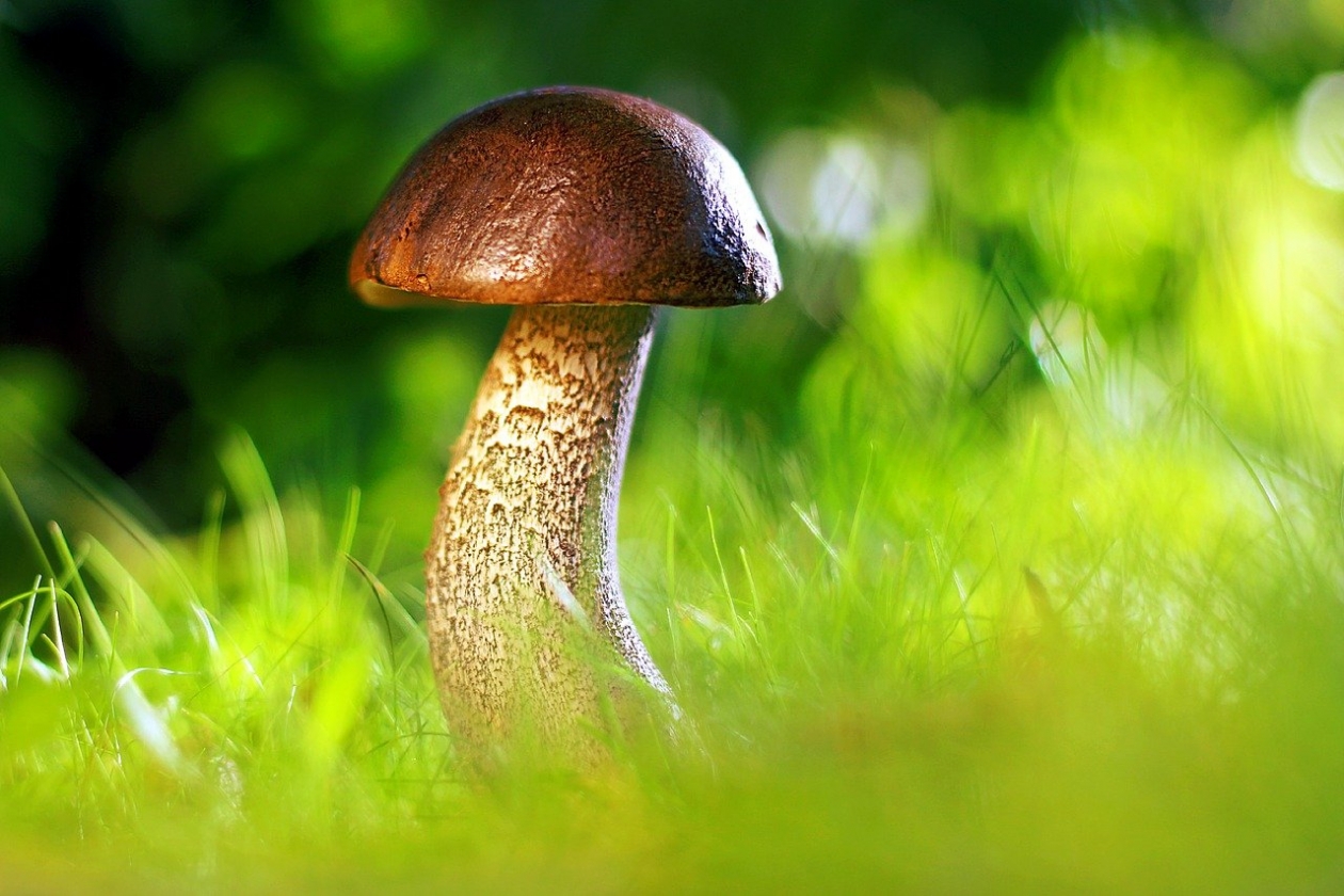 Что нельзя делать 30 июля pixabay.com