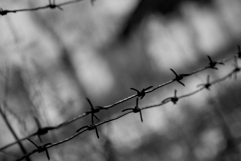 Колючая проволока ИА  AmurMedia