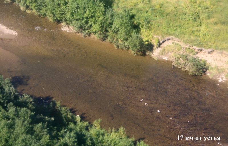 Река с воздуха