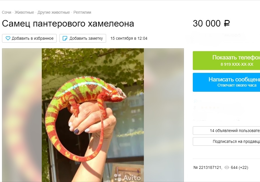 Хамелеон — 30 тысяч рублей