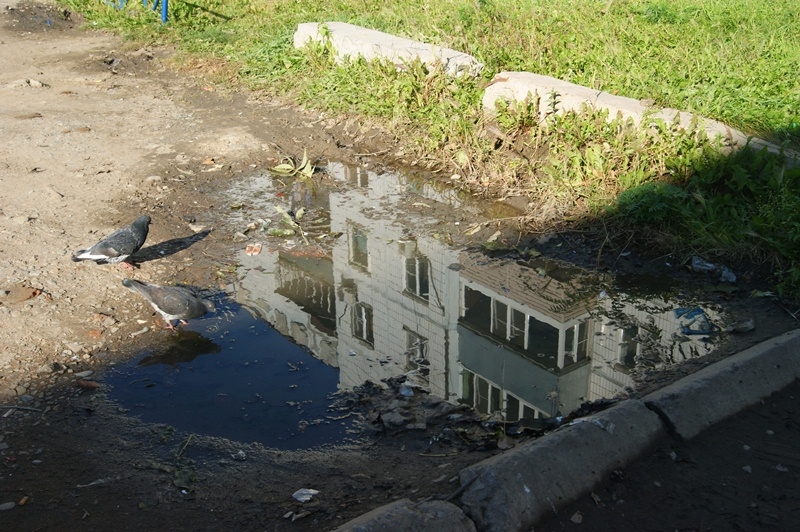 Лужи в ясный солнечный день