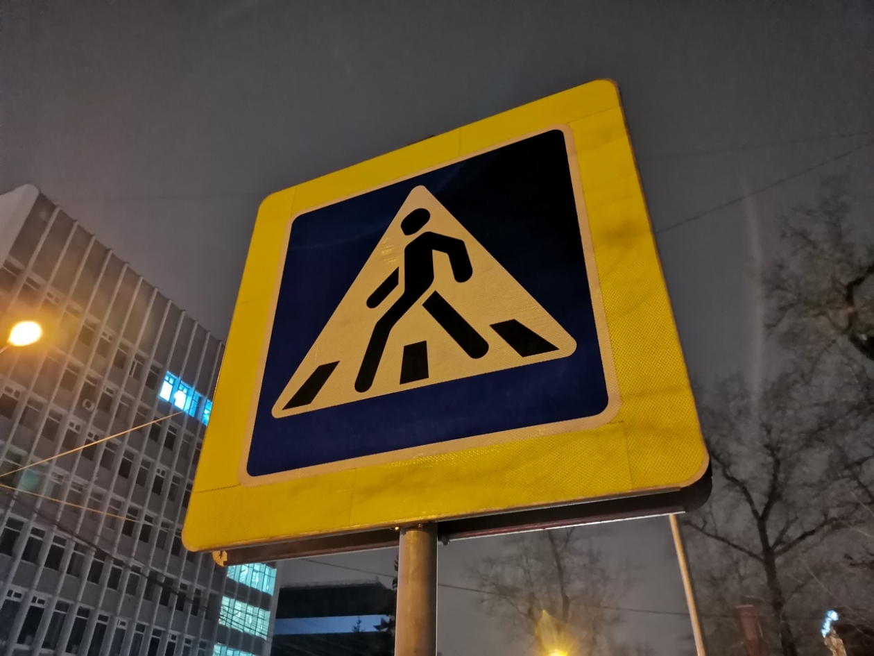 Знак пешеходного перехода Кирилл Роткин, ИА IrkutskMedia