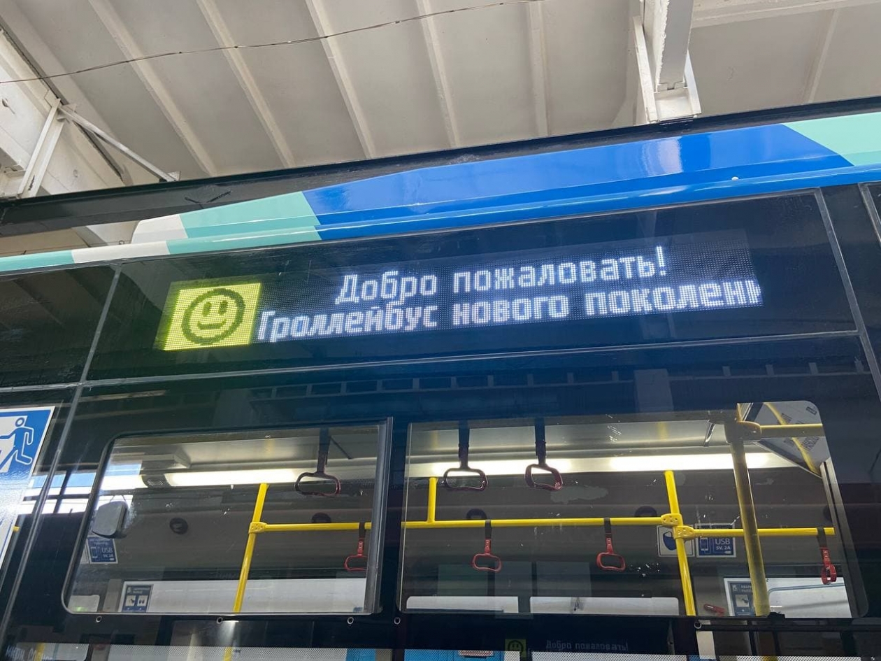 Настроение троллейбуса Екатерина Горская