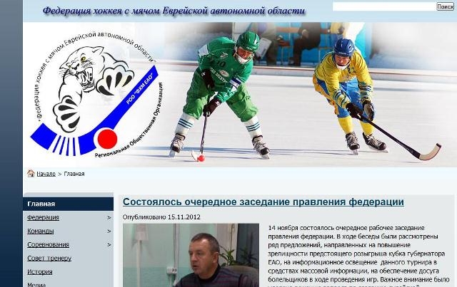 Официальный сайт появился у Федерации хоккея с мячом ЕАО РИА ЕАОmedia