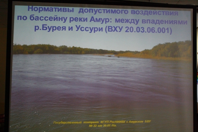 Проект оставляет ощущение сырого, не подготовленного документа