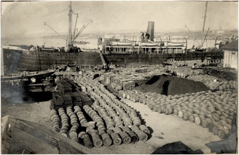 Товаро-пассажирский пароход "Астрахань" в Петропавловском порту, 1920-е гг.