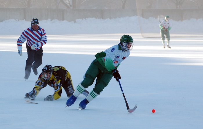 Розыгрыш кубка ДВ по хоккею с мячом стартовал в Биробиджане