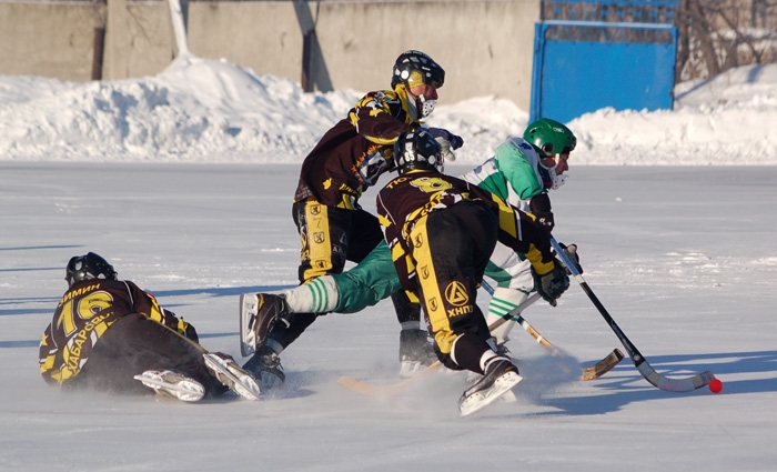 Розыгрыш кубка ДВ по хоккею с мячом стартовал в Биробиджане