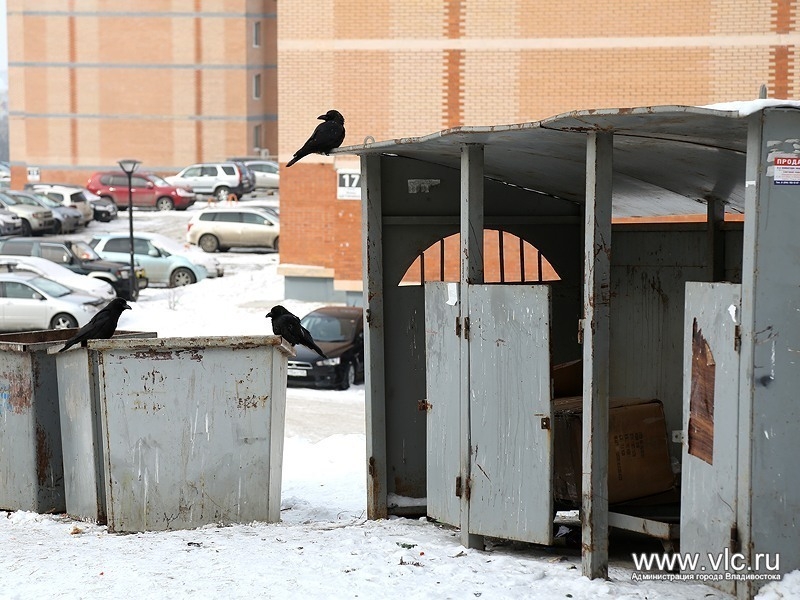 Фото с места события