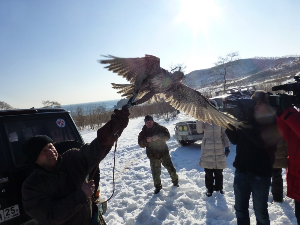 До старта остаются секунды WWF