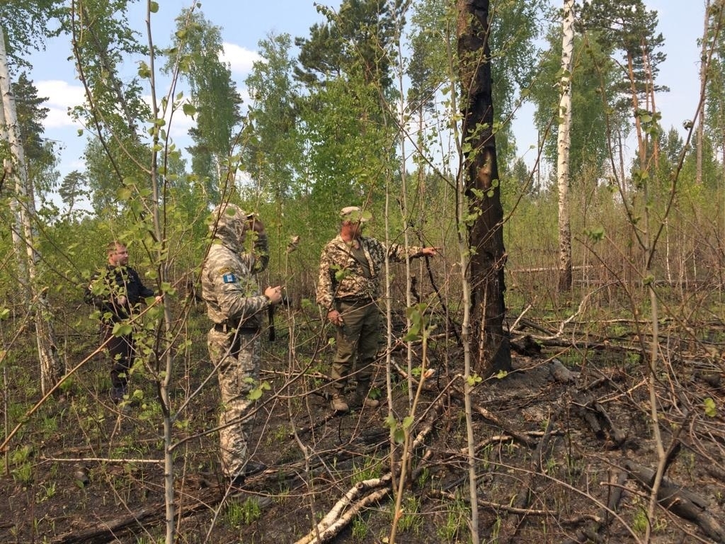 Высокую и чрезвычайную пожароопасность лесов прогнозируют в Иркутской области 5 июля