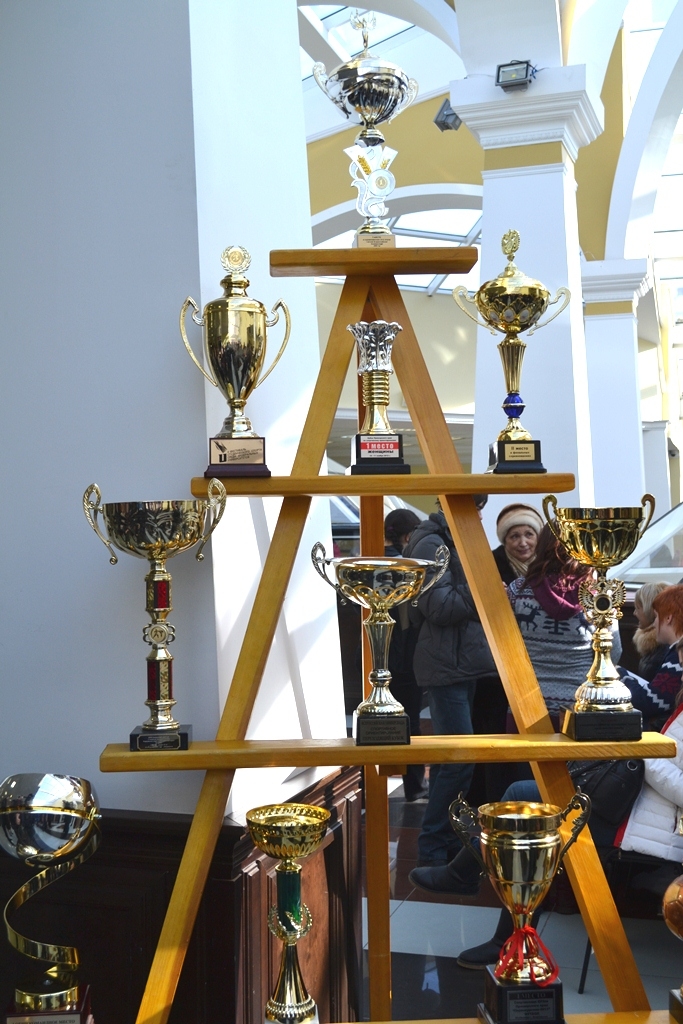 Спортивные достижения прошлых лет 