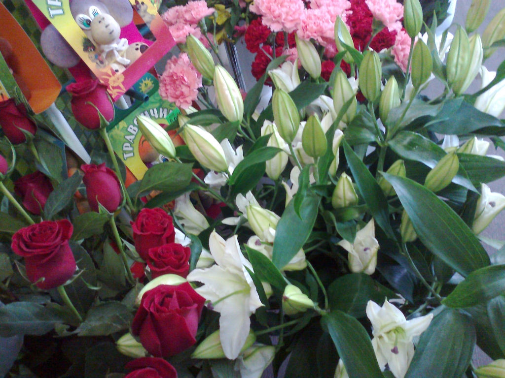 Влюбленные биробиджанцы отметят День Святого Валентина ужином и прогулками