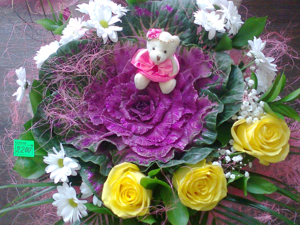 Влюбленные биробиджанцы отметят День Святого Валентина ужином и прогулками