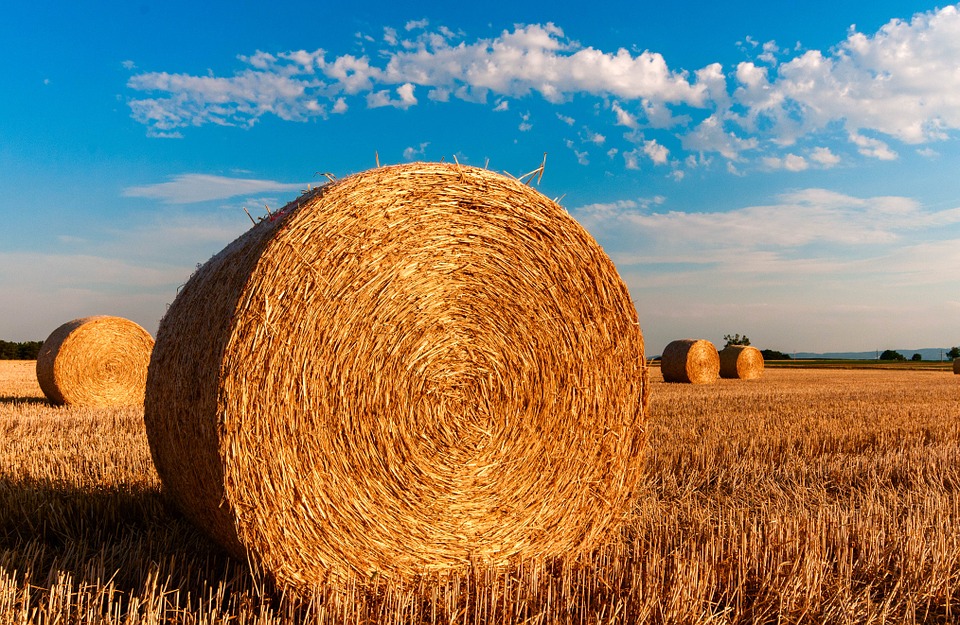 Солома https://pixabay.com/