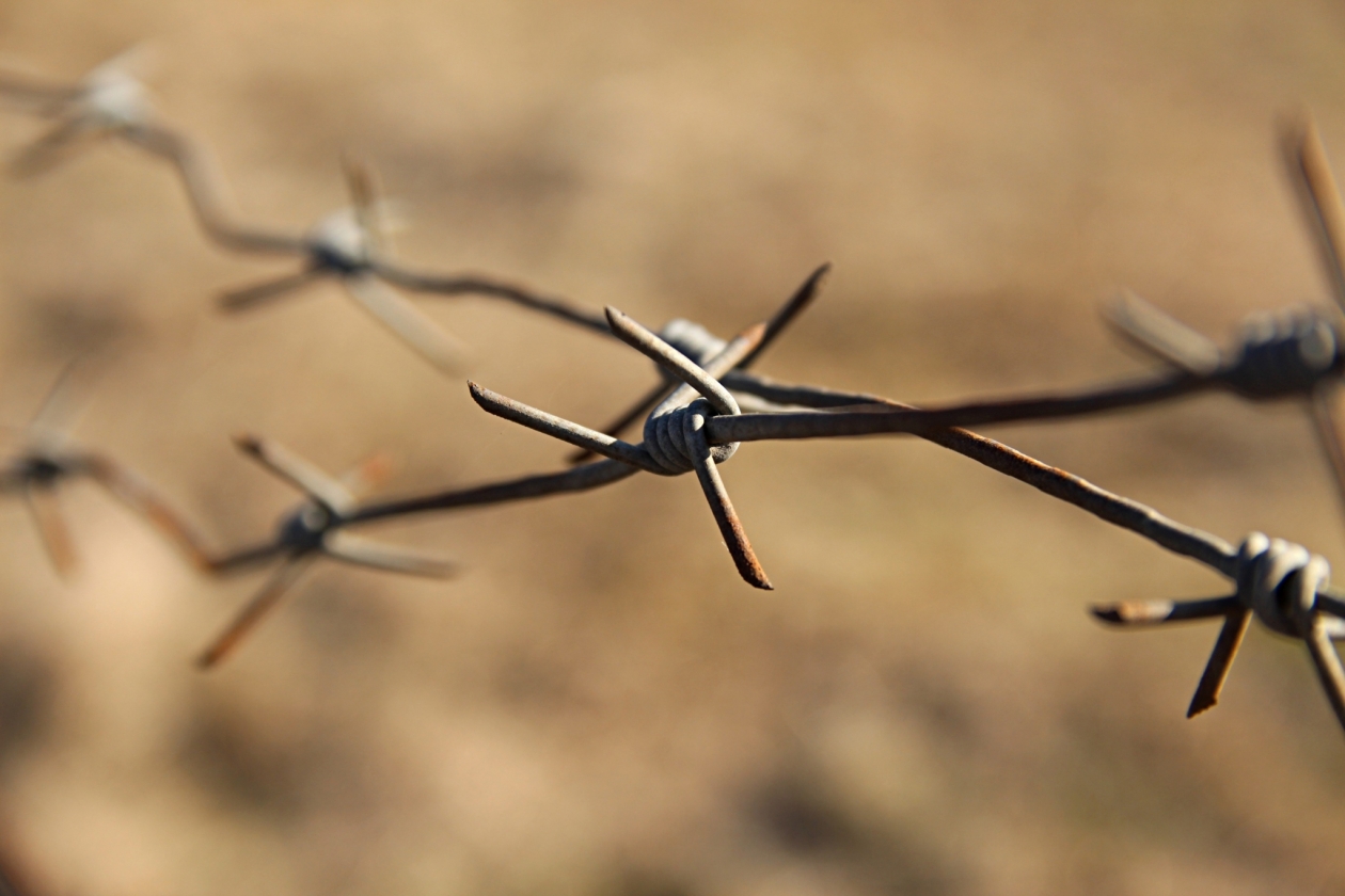 Колючая проволока