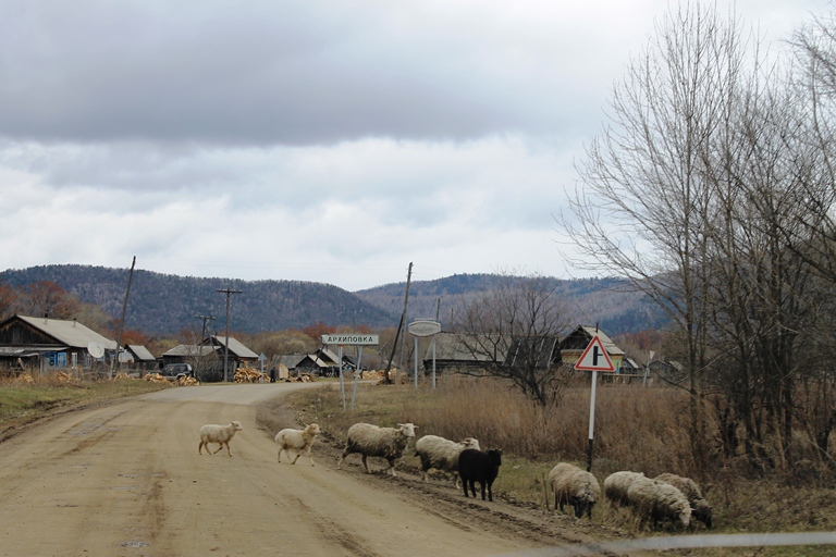 Село Архиповка, Фото с места события собственное