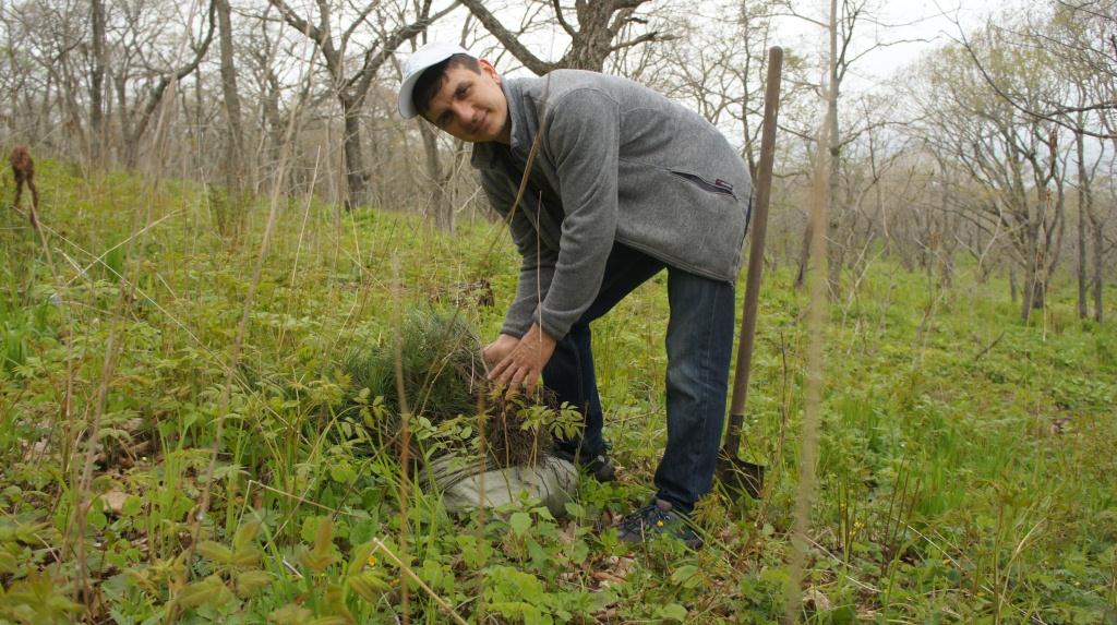 Дмитрий Царев садит деревья, Фото с места события собственное