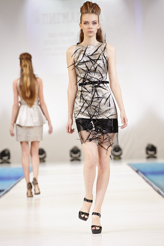 Показ Чапурина, Фото с места события из других источников