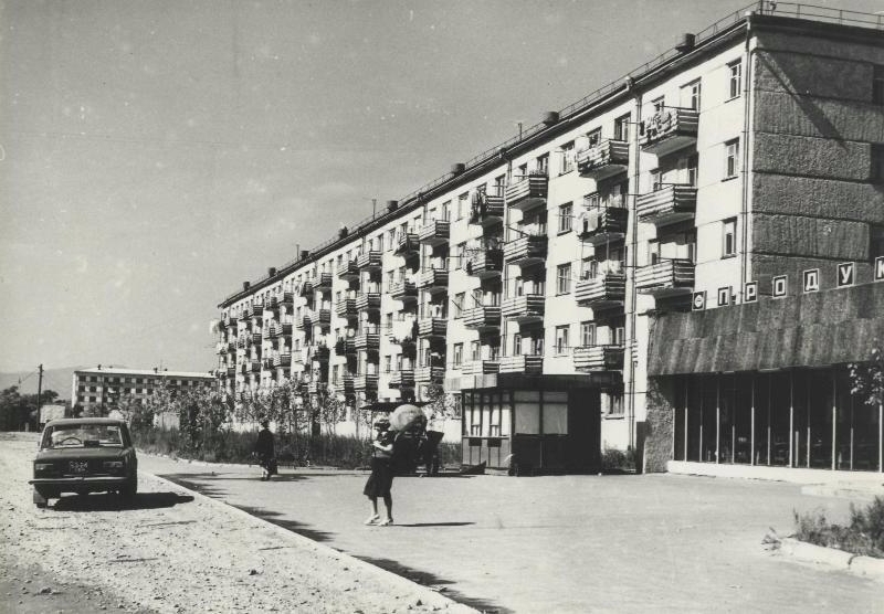 Первые дома в новом микрорайоне имени Бумагина в Биробиджане, 1977 год Госархив ЕАО