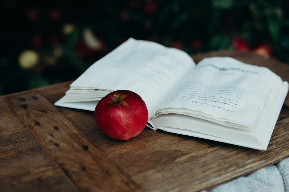 Тематическое фото unsplash.com