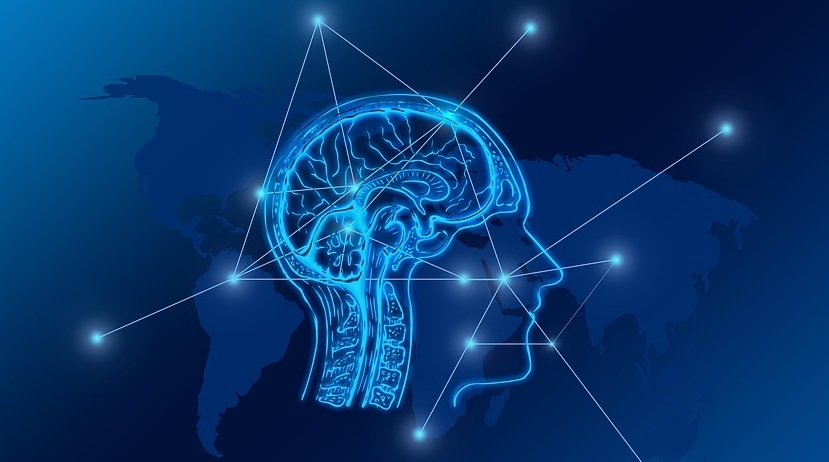 Тематическая иллюстрация pixabay.com