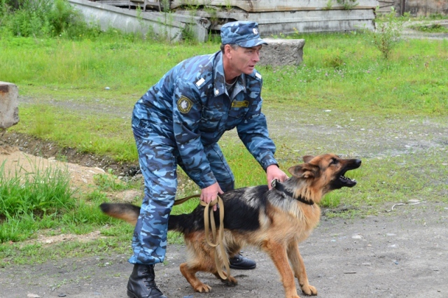 Накануне кинолиги ЕАО отметили профессиональный праздник, Фото с места события из других источников