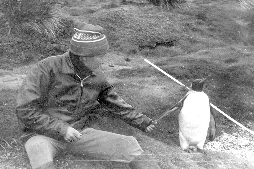 Южная Георгия с королевским пингвином